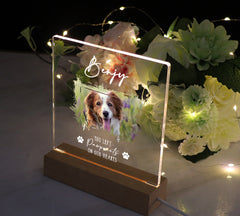 Personalised Pet Photo Memorial Lamp Night Light Gift