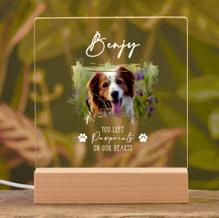 Personalised Pet Photo Memorial Lamp Night Light Gift