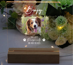 Personalised Pet Photo Memorial Lamp Night Light Gift