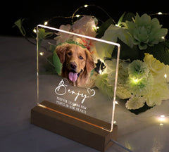 Personalised Pet Photo Memorial Lamp Night Light Gift Circle frame