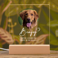 Personalised Pet Photo Memorial Lamp Night Light Gift Circle frame