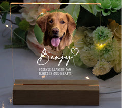 Personalised Pet Photo Memorial Lamp Night Light Gift Circle frame