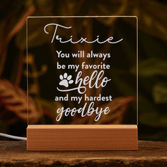 Personalised Pet Memorial LED Night Lamp Remembrance Keepsake